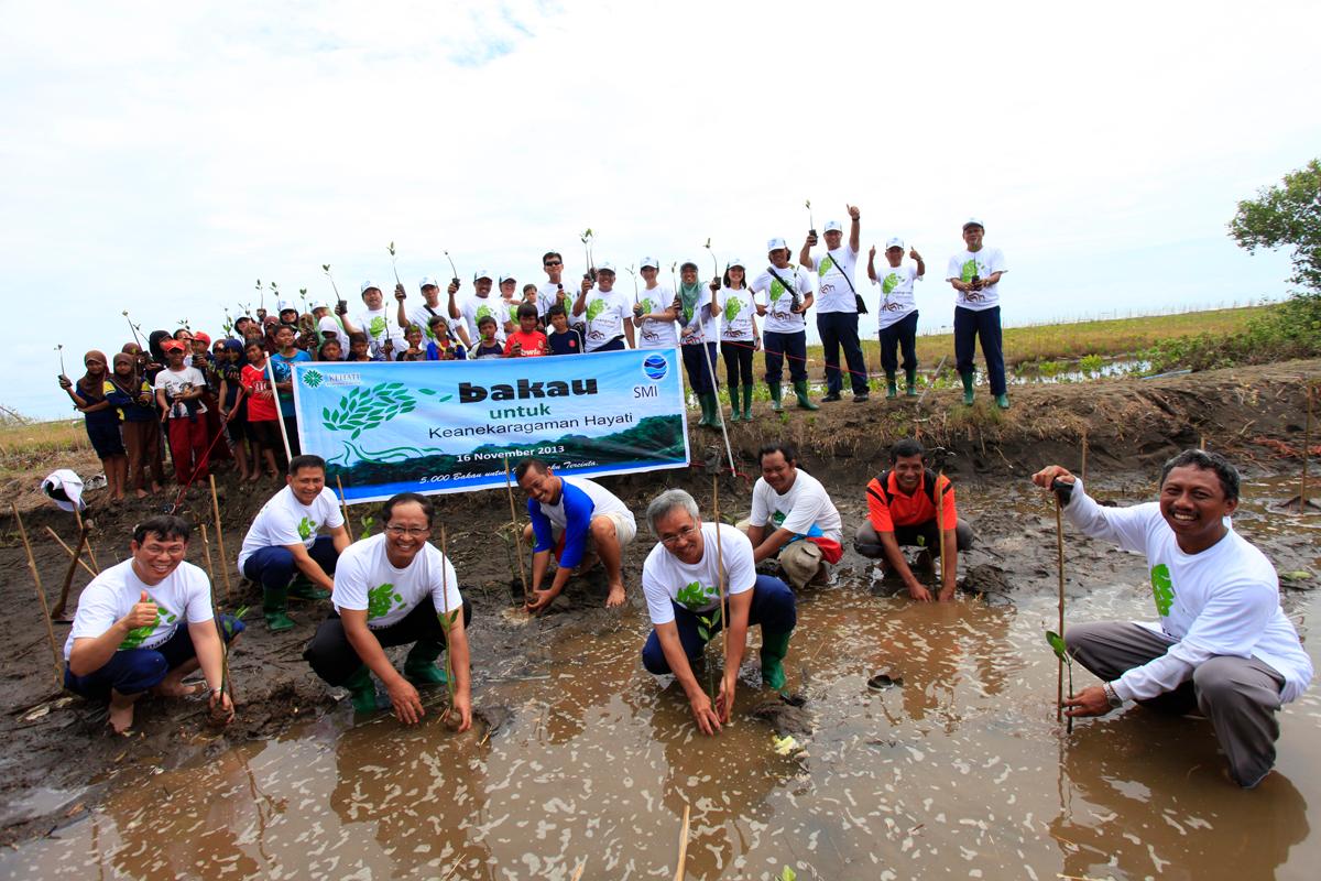Planting 5000 Mangrove Trees