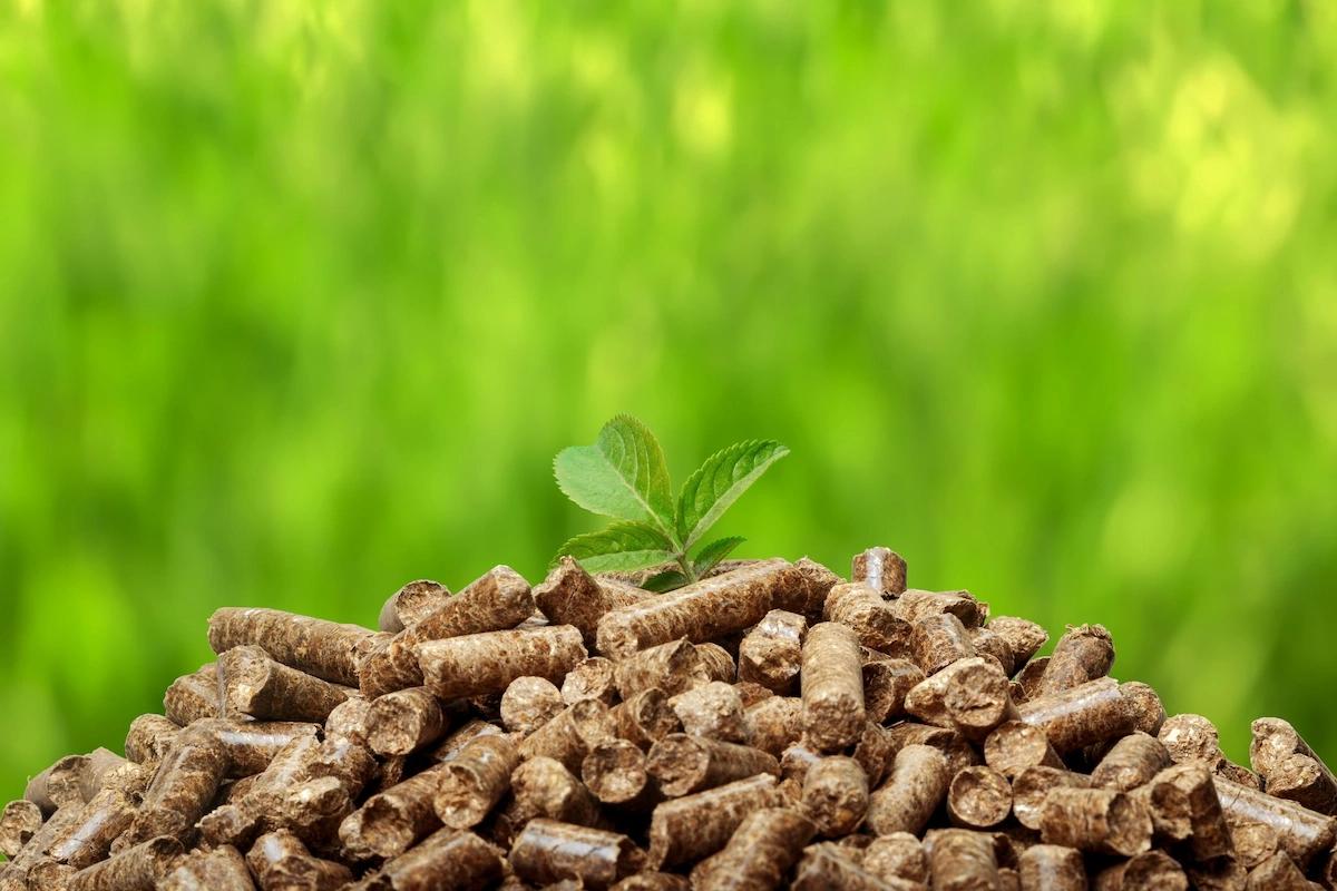 biomass energy