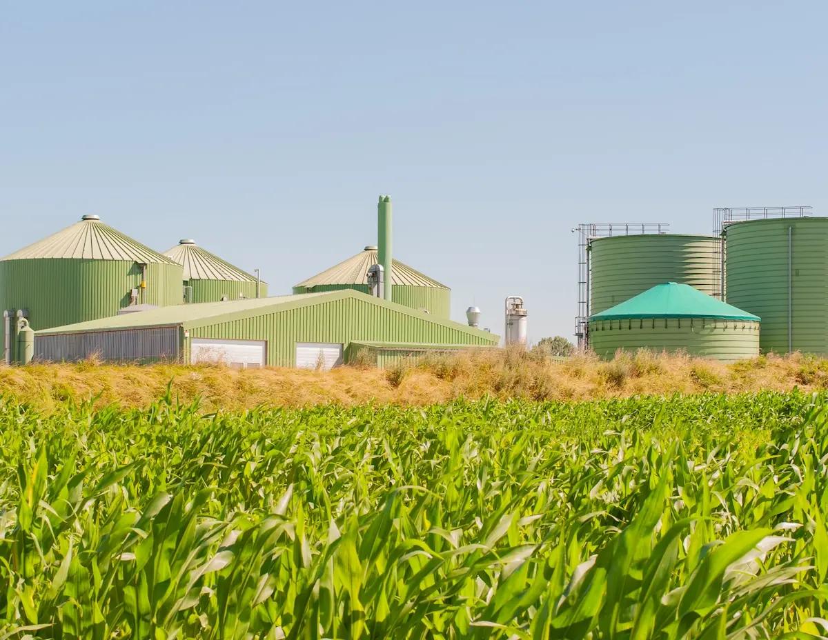what is biogas