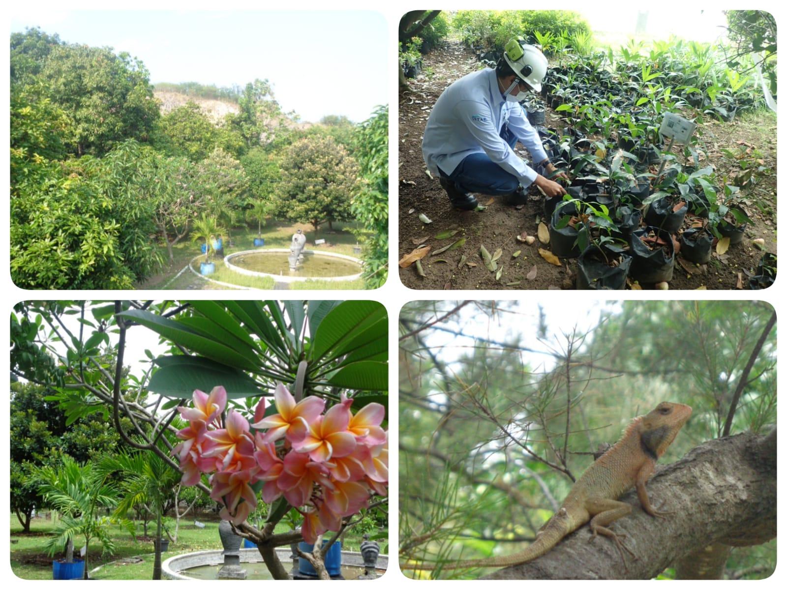 Protection of Biodiversity at Kehati Asri Conservation in 2022