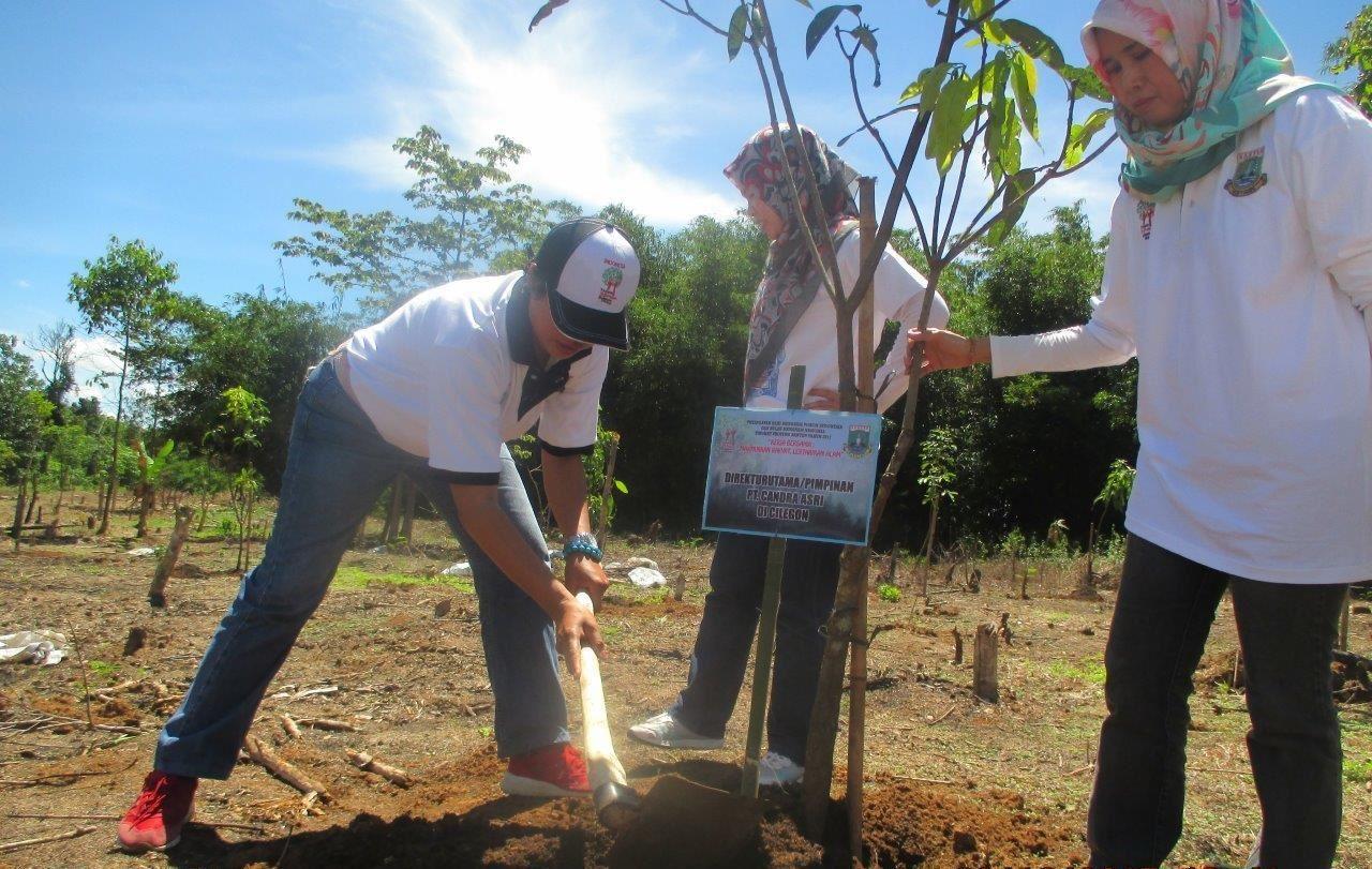 Peringati Hari Menanam Pohon, CAP Tanam 200 Pohon Hortikultura