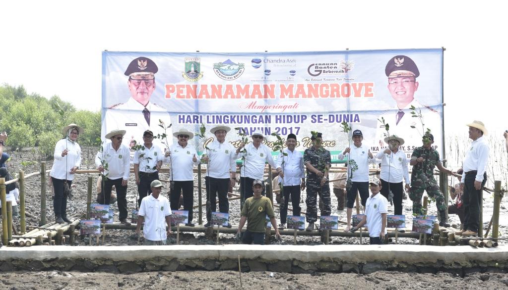 SMI Planted 10,000 Mangrove Seedlings in Gerakan Banten Bebersih