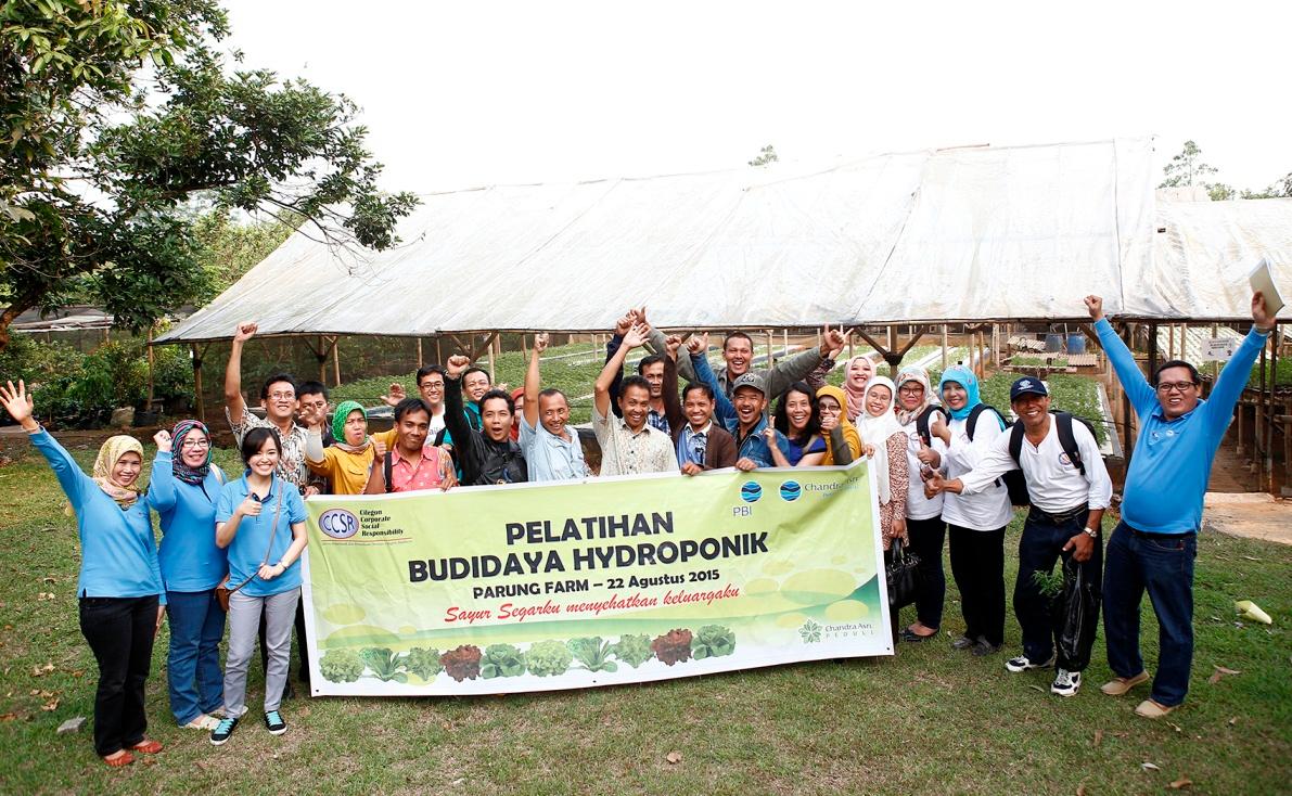 Hydroponics Cultivation Training