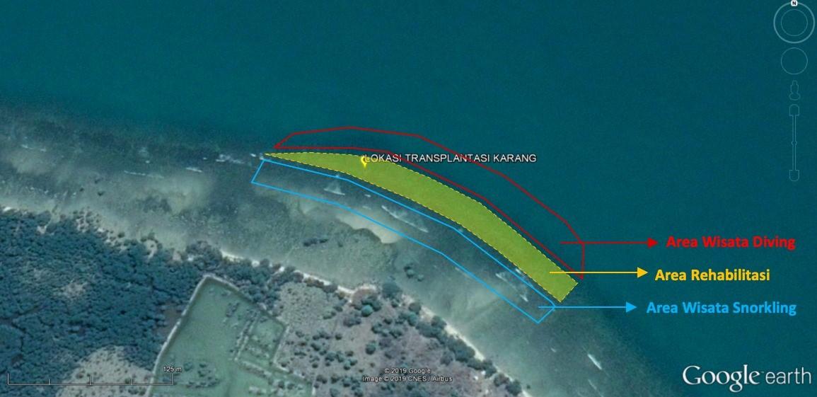 Program Transplantasi Terumbu Karang di Teluk Banten
